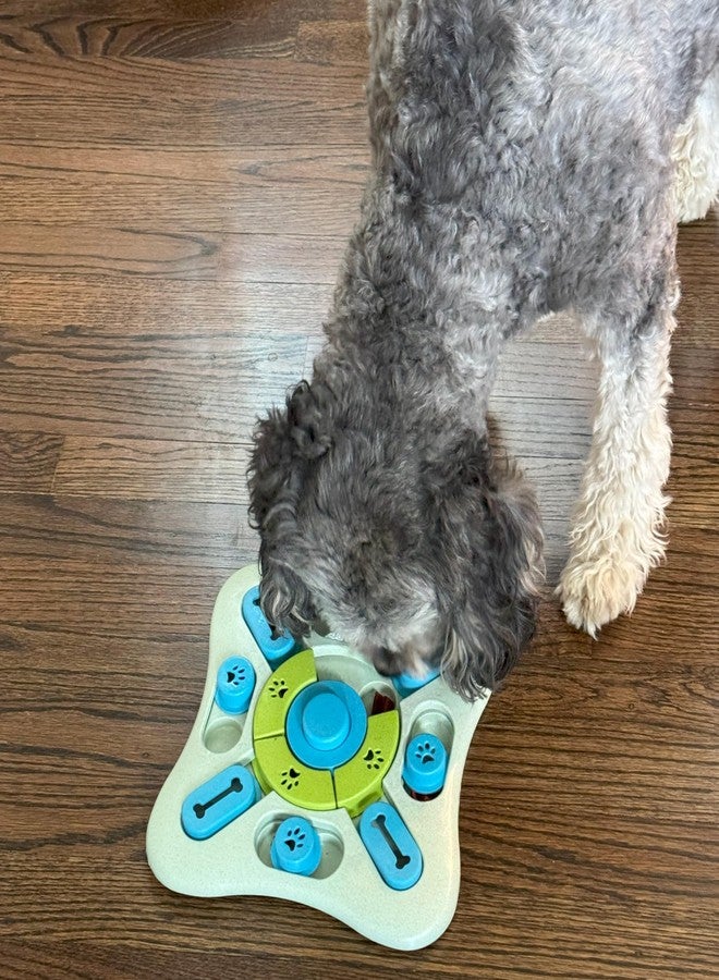 SPOT Seek A Treat Slide' N Turn Puzzle -Interactive Dog Puzzle Toy for Small, Medium & Large Smart Dogs and Cats, Squeaky, Enrichment and Mentally Stimulating Toy for Training and Boredom Buster - Image 4